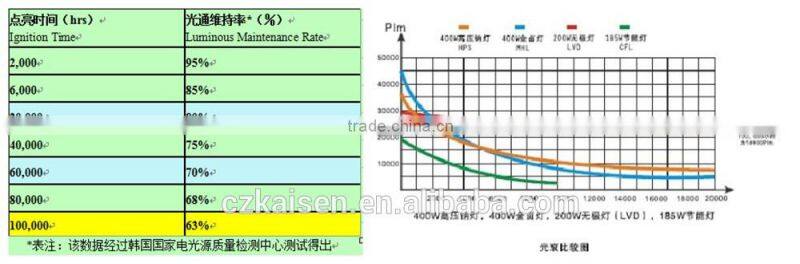 40w china outdoor new product energy saving induction garden light