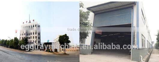 pulp machine from China factory paper making egg tray carton 5000 pcs/hour