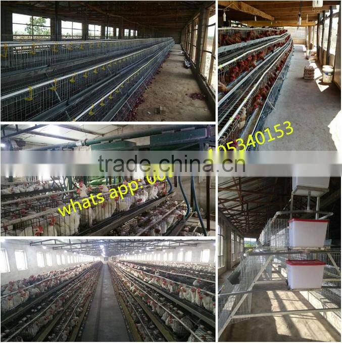 best price 96 chickens cage chicken cage factory in china
