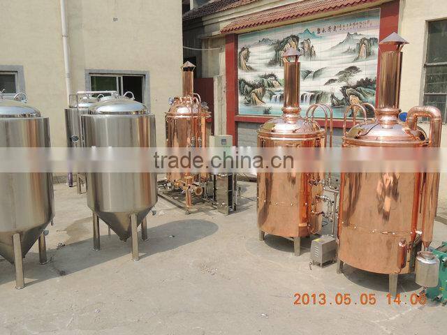 beer equipment made by SUS 304 or red copper/CE and ISO certification