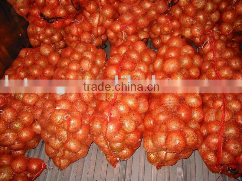 Yellow Onion Red Onion Specification Fresh