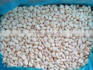 IQF Peeled Garlic