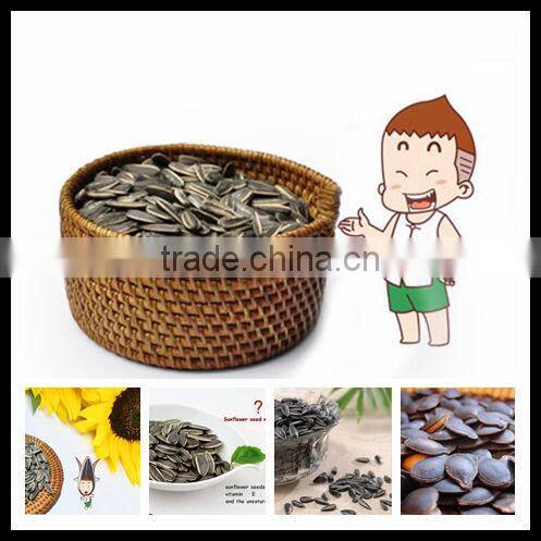 Bulk New Crop Striped Common American Sunflower Seeds