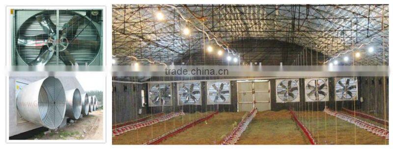 automatic poultry feeing line