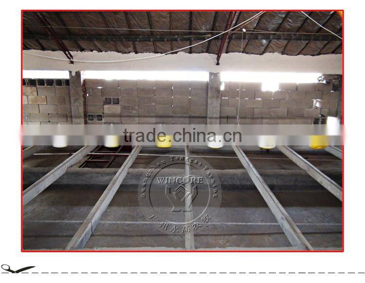 Poultry Automatic Feeding Drinking system for Chicken brolier