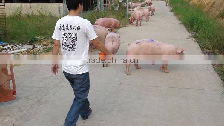 2016 Hot Selling Cheap High Quality Cattle Prod Veterinary Instruments