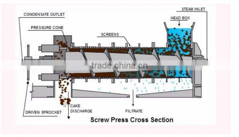 Automatic oil press machine/walnut oil cold pressing machine/peanut oil extract machine for sale