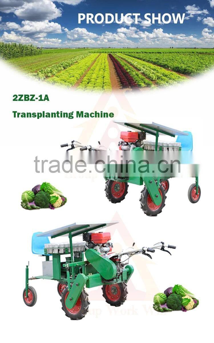 high quality vegetable hand seeder