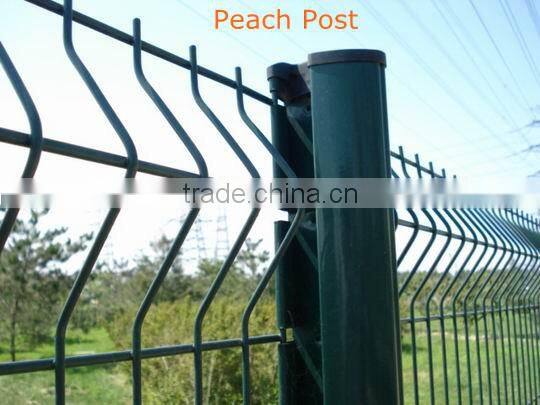 Direct factory welded wire fence mesh 5x5