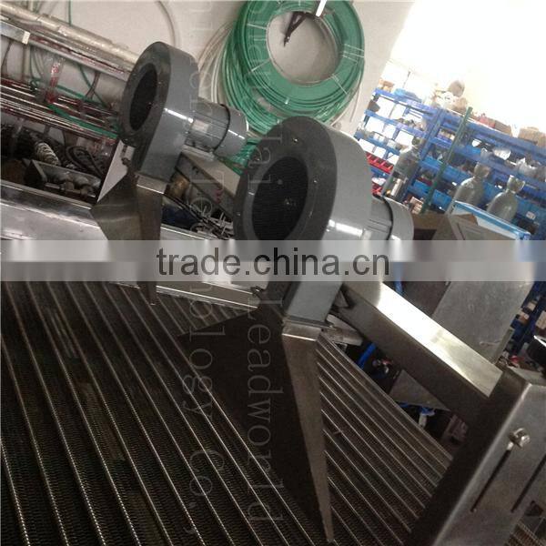 dates air dryer/fruit processing line/dates processing line