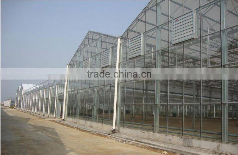 Factory outlet large Multi-span glass agricultural-commercial Greenhouses