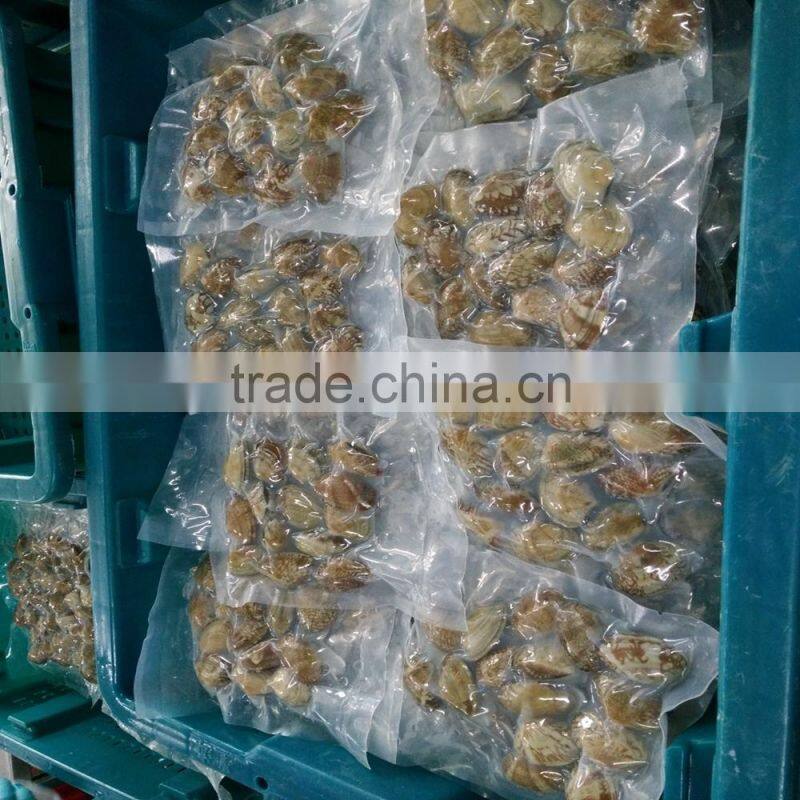 NEW SEASON FROZEN SHORT NECKED CLAM