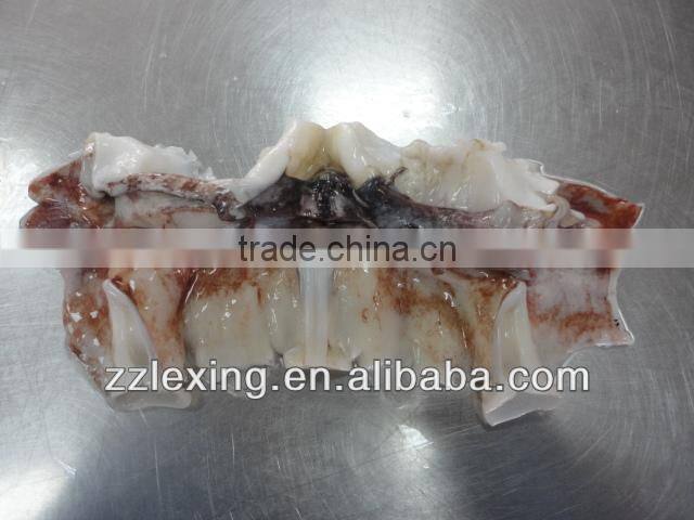 frozen giant squid