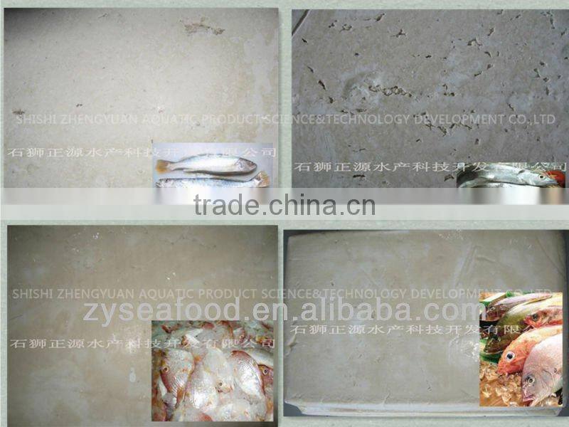 Frozen Fish Frozen Sardine 60--80