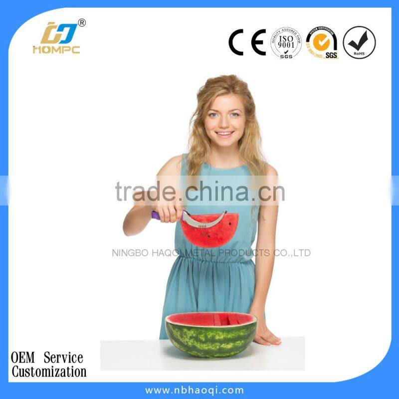 stainless steel water melon slicer