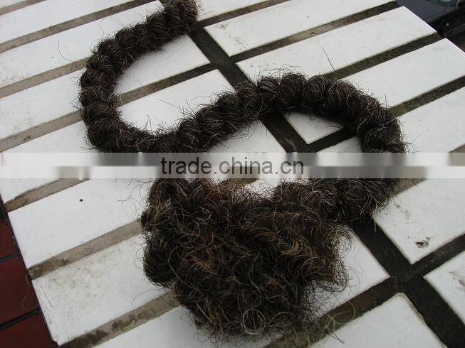 Popular and Elasticity Needled Horse hair with jute mattress