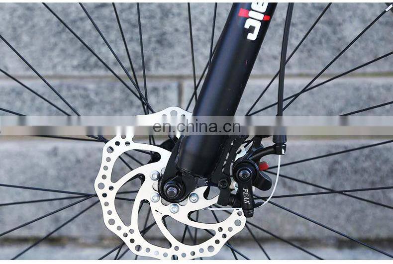 Cheap and best 26 inch 21 speed fat tire Mountain Bike with disc brake