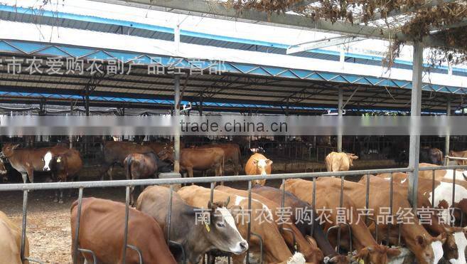 Animal for drying bags wood sawdust bedding