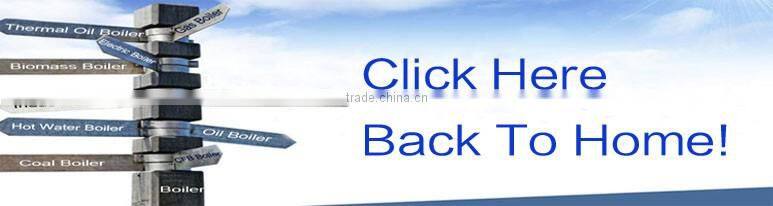 3 Ton Industrial Steam Boiler Biomass Boiler