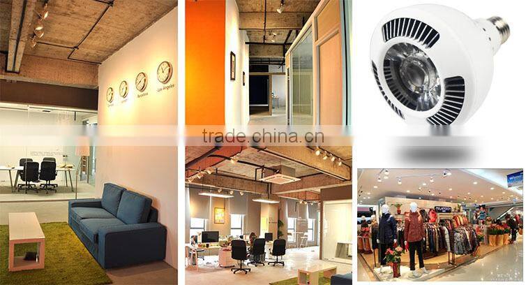 high efficiently COB led par30 screw Tracking Light