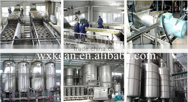 concentrated juice machine apple juice orange juice lemon juice