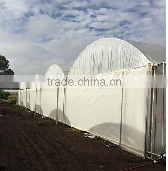 LDPE plastic rain cover for grape vineyard and orchard