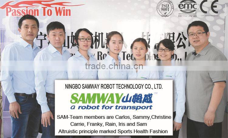 2016 Samway new arrival Smart electric scooters Justin