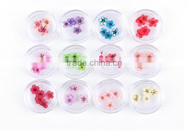 2016 12 colors Dried Dry flower UV gel acrylic false tips nail art decoration real flower