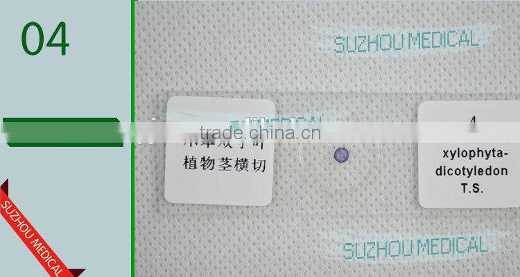 50pieces set primary school study zoology and botany mixed biology slides