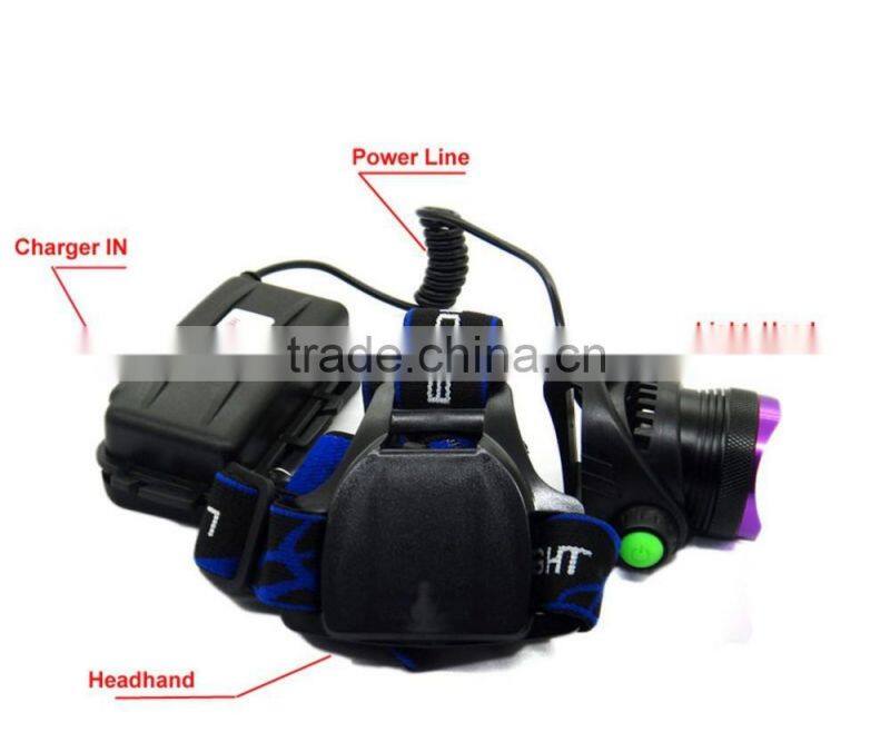 1800 Lm XM-L T6 Focus LED Headlamp Headlight Head Torch Lamp Front Lamp Camping Hiking Light With AC Charger + Car Charger