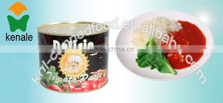 China Manufacturer best tomato paste brands 2200gX6tins