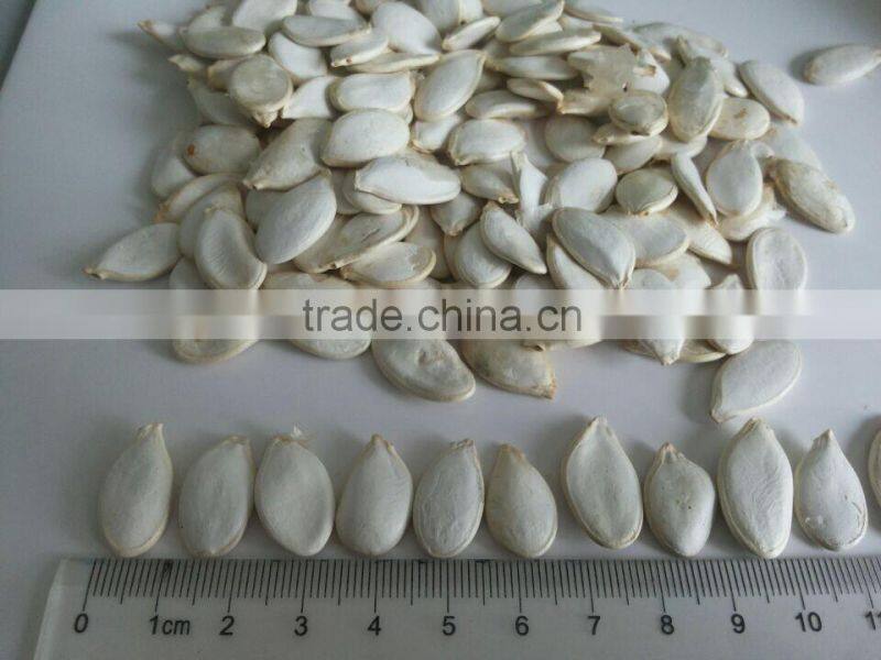 Snow white Pumpkin Seeds