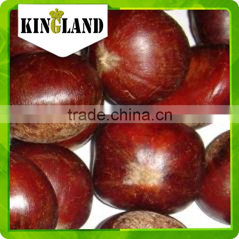 wholesale fresh chestnut