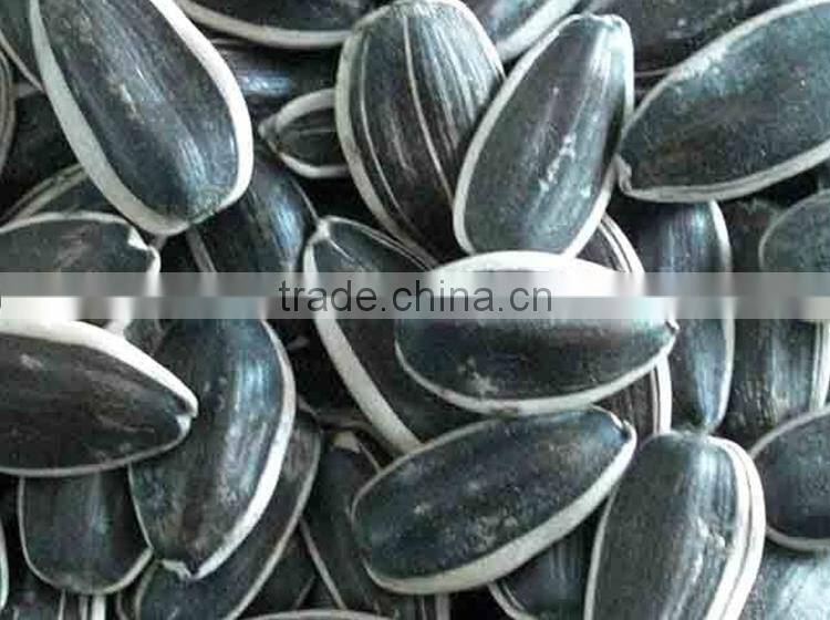 Export best sunflower seed price india
