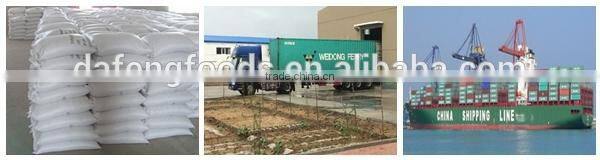 Inner Mongolia seeds sunflower 5009