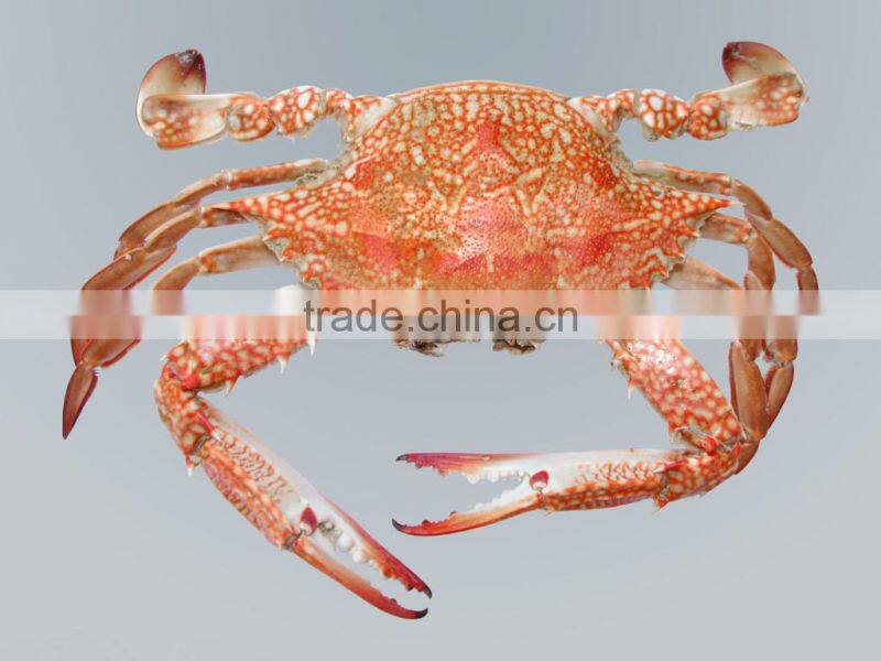 Agriculture liquid fertilizer Chitosan foliar fertilizer