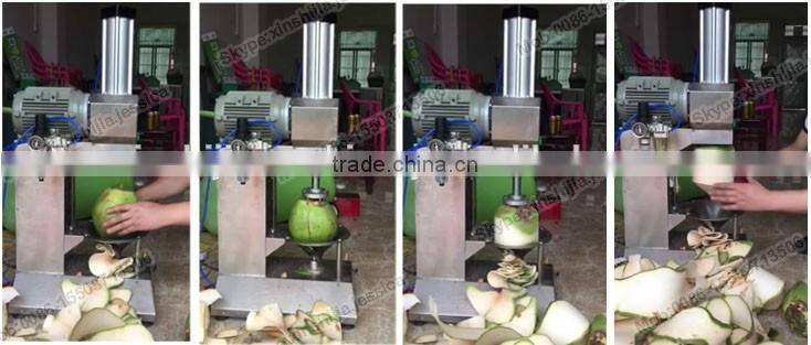 Hot selling automatic coconut processing machine