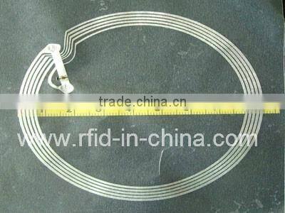 Passive LF 125KHz RFID worm Tag