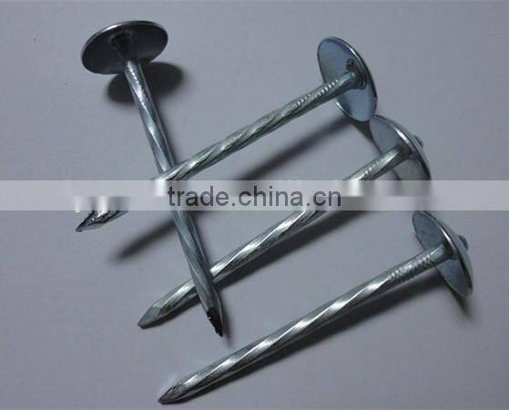 1.5"*14G Umbrella Head smooth plain Shank Roofing Nail china factory