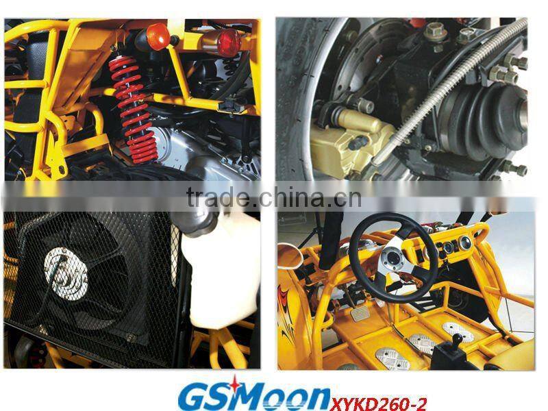 powerfull 250cc go kart with C.V.T system