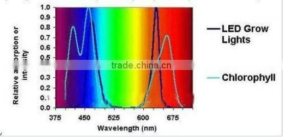 2017 Hot Sale Led Grow Light 150W Red+Blue Light Color High Power Lamp For Aquaponic System