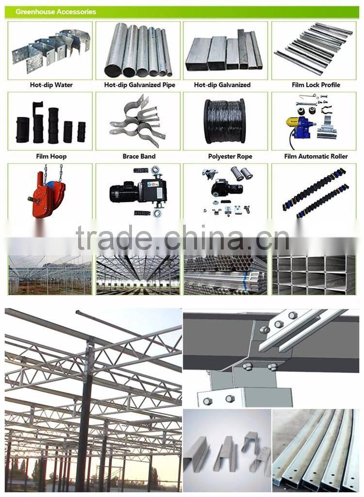 High Quality Tunnel Greenhouse