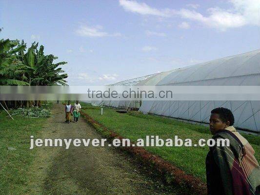 agricultrual film