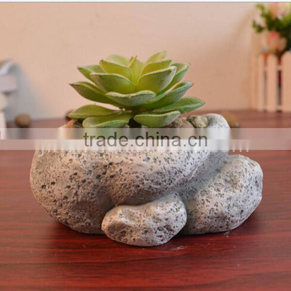 Succulent plant small indoor stone flowerpot