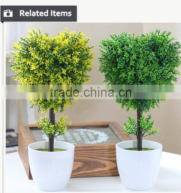 White potted evergreen plants table centerpiece tree