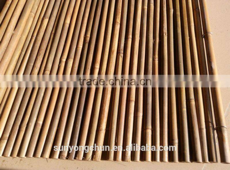 Natural Football Field Fence 3.5' 12-14mm bamboo cane for several sizes