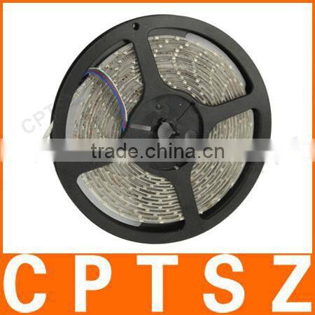 Decoration Epoxy Waterproof RGB LED 3528 SMD Rope Light with Remote Controller, 60 LED/M, Length: 5M