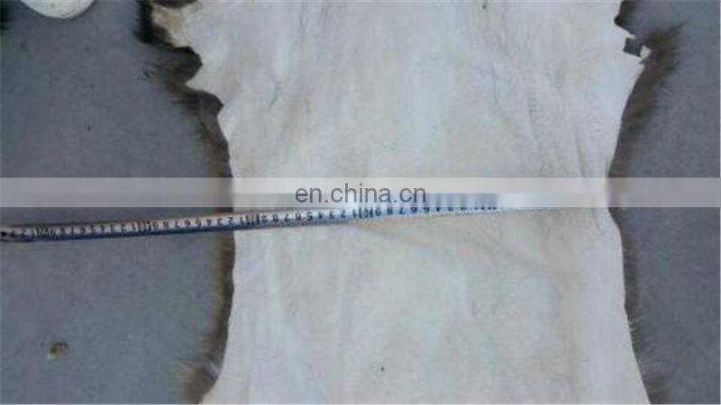 Raccoon Fur Skin /Fur Skin / Real Raccoon Material Fur Skin for Garment Fur Plates