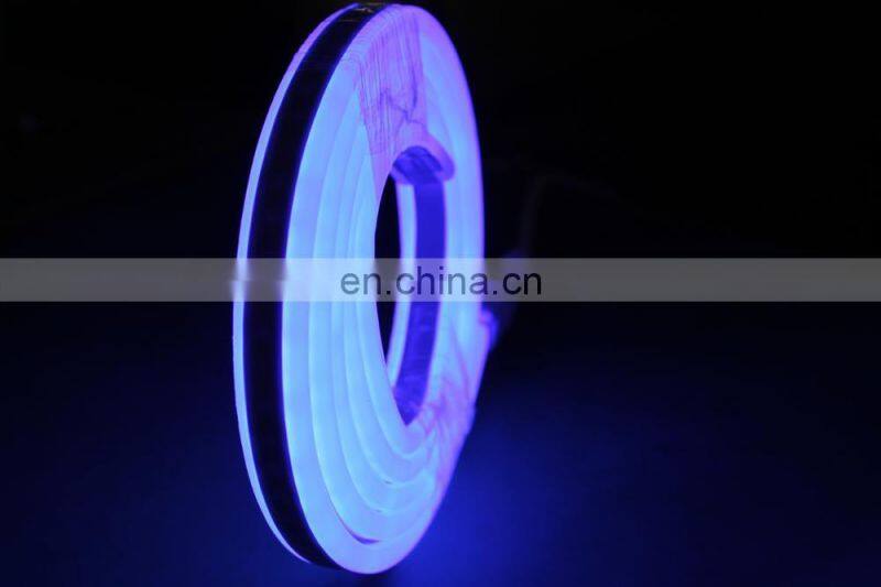 Shenzhen IP68 double sided blue 2835 24v led flexible neon strip light
