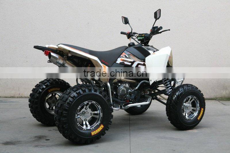 2010 TOP NEW Racing Quad 300CC (RX3.0T)
